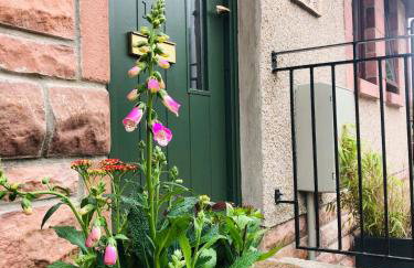 12 & 14 On the Hill Aberfoyle, twin holiday cottages in Scenic Loch Lomond & Trossachs National Park - Foto 26