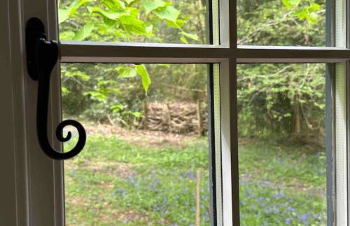 Cornwall Woodland Shepherd's Hut with Hot Tub - Deirdres Hut - Foto 44