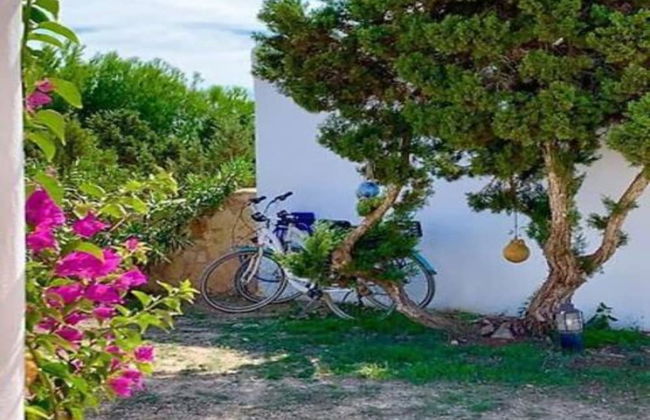 Meridium Apartments & Beach Club - Photo 32