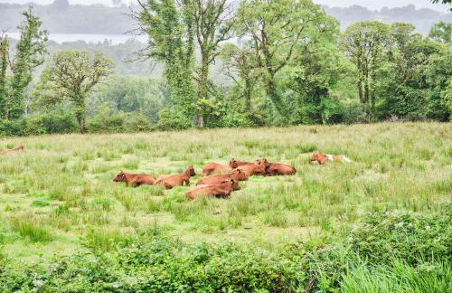 Green Gables by Escape Ordinary - Foto 61