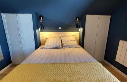 La forêt des Marmottes - Photo 14