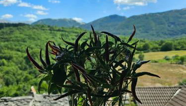 Esperia Holiday House - Foto 1