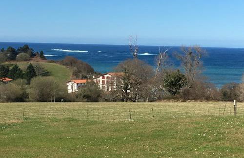 Domaine de Bordaberry - Foto 3