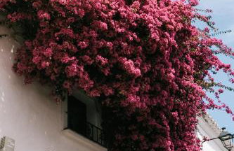 Casa Jilou - Foto 26