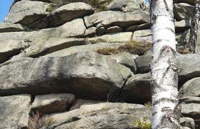 Modernes Harz Studio Apartment Ferienwohnung über den Baumspitzen - Foto 30