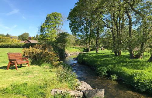 Maesyfelin Isaf Apartment - Foto 16