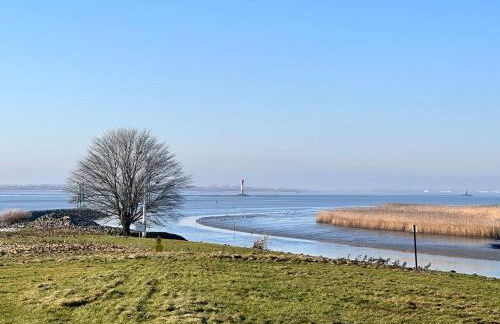 Reetdachkate am Deich - Photo 52