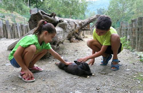 Can Batlló, entorno acojedor y romántico - Foto 59