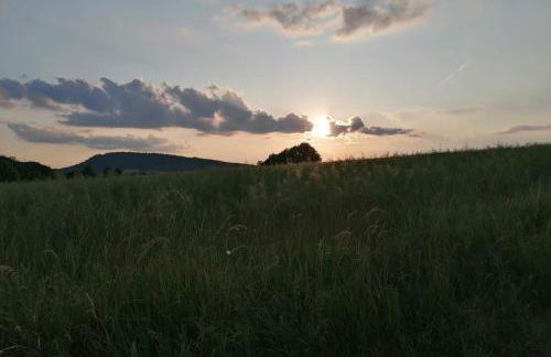 Ferienhaus Putzke - Foto 10