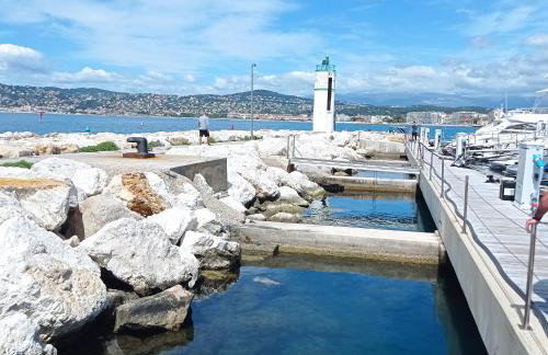 Bel appartement en bord de mer avec piscine lagon et jardin, en résidence sécurisée - Foto 65