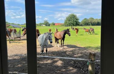 Tiny House auf Pferdehof - Foto 13