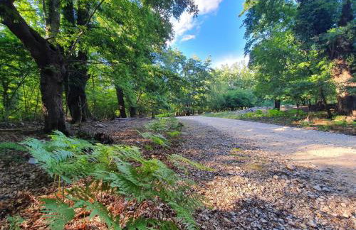 Stone House Rosuja - Foto 56