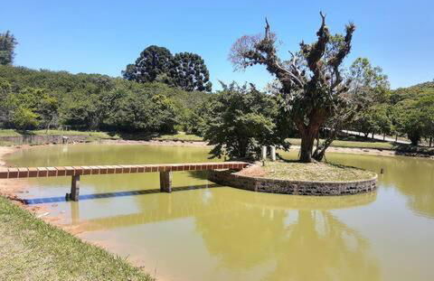 Natureza, paz no sítio - Foto 28