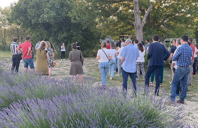 Provençal Lavender Farm Tour - Foto 7