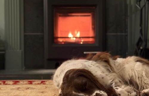 Lane End Cottage - Kirkby Lonsdale - Foto 8