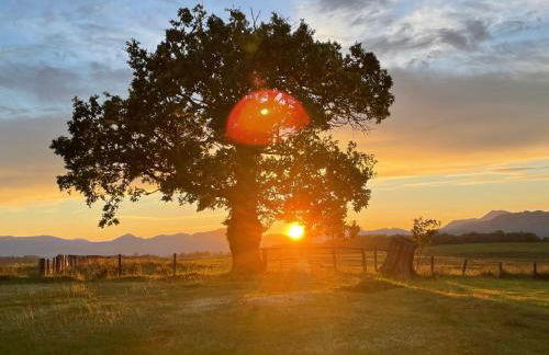 FINN VILLAGE - Loch Lomond Sunset Glamping Pod - Private Ofuro HOT TUB - Foto 31