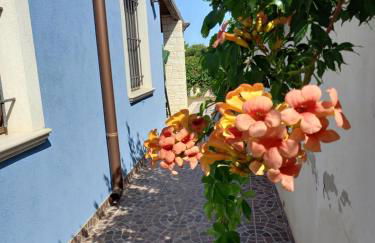 Villa Serena - Foto 43