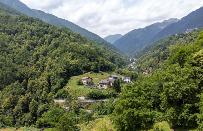 Il Gianlupo - Foto 29