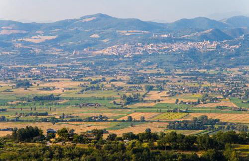 Agriturismo il Cicaleto - Foto 30