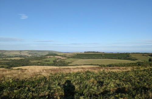 The Pepper pot - Photo 18