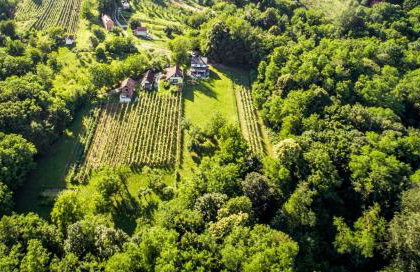 Greenwood 84 - Foto 31