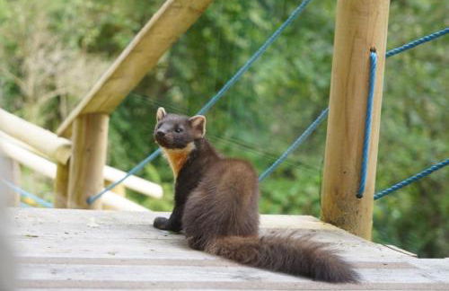 Finest Retreats - Cosagach Falls Cabin - Foto 6