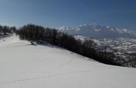 Azienda Agrituristica Colle San Giorgio - Foto 39