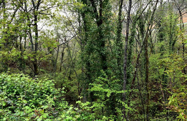 Aparthotel Quinta do Crestelo - Foto 59