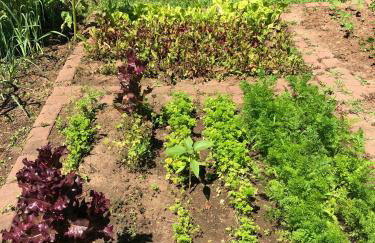 Czytelnia w Sadzie - Foto 39