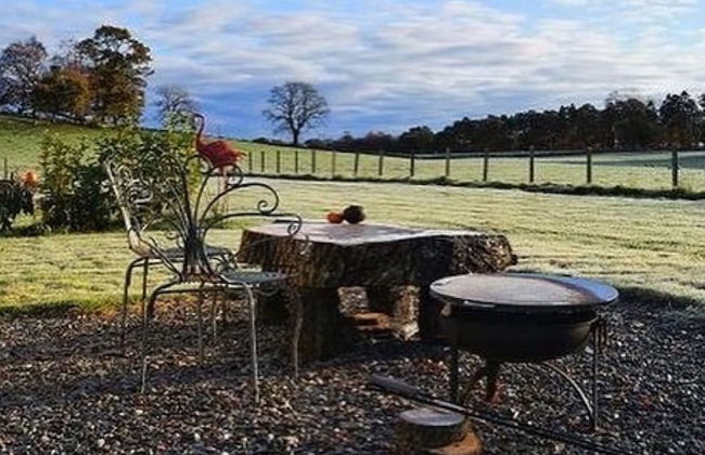 Dunroamin Lodges - Photo 44