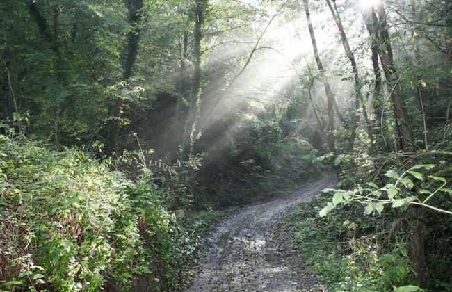 Agriturismo Le Selve - Photo 25