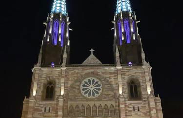 Locations Vacances Obernai Studio - Foto 14