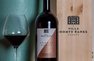 Boutique Hotel Villa Monty Banks - Foto 31