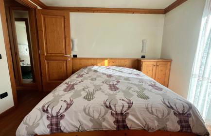 Asiago Piazza Carli - Foto 11