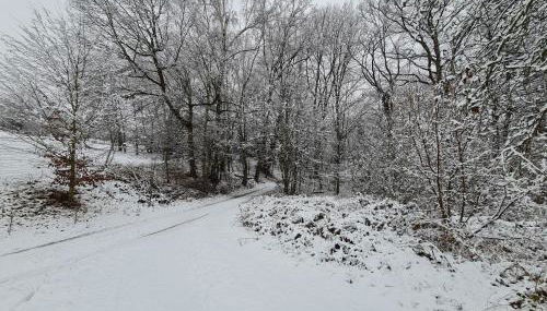 Ferienwohnungen an der Bosel - Foto 4