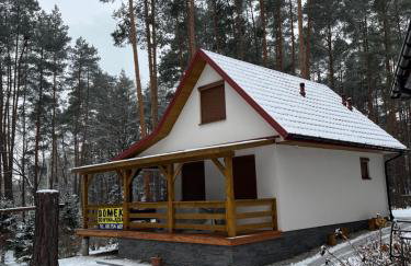 Leśna Oaza Radawa - Foto 2