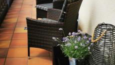 Friedrichsruh - Foto 4