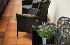 Friedrichsruh - Foto 4