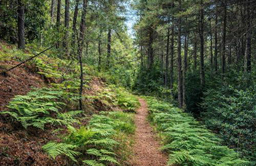 Casa Rural Doña Carmen - Foto 43