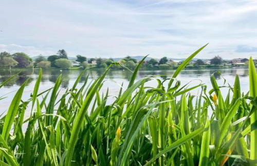 Cosy Holiday Home in the Harz Region - Foto 126