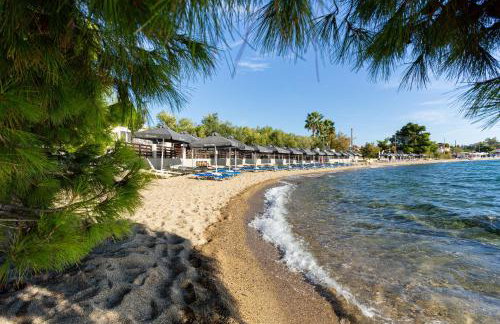 Paradisos Holiday - Foto 33