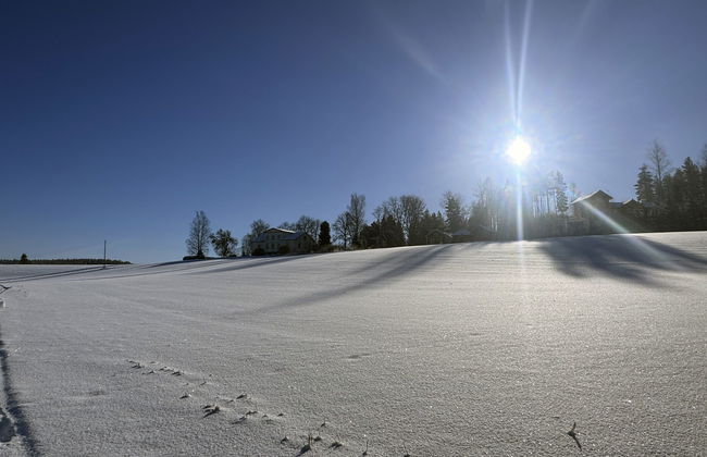 Peltosirkku - Photo 26