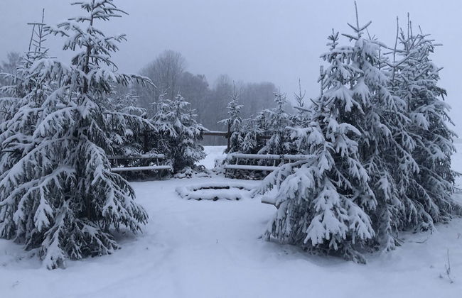 Apple Tree Cabin With River Views - Foto 35