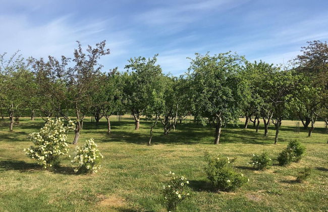 5 Star Holiday Home in Frederikshavn - Foto 20