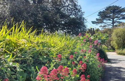 Corvus - Beautiful cottage half a mile from Mousehole - Photo 69