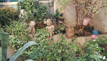 Le Clos du rouet - Foto 2, Garden