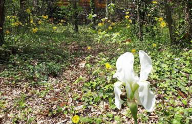 CHALET ETNA MILO - Foto 40