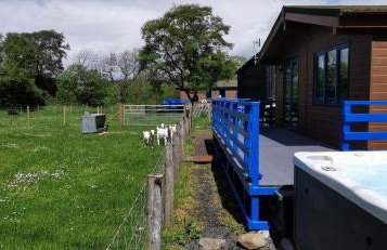 Glen Roe - 3 Bed Lodge on Friendly Farm Stay - Foto 78