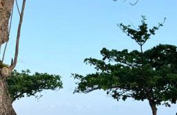 Casa na Rua do Sol, 137, Carmo, Olinda-PE - Foto 62