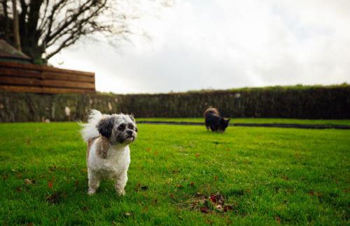 3 Bedroom Pembrokeshire Cottage - Beaches, Coastal path walks, Castles nearby - Foto 35